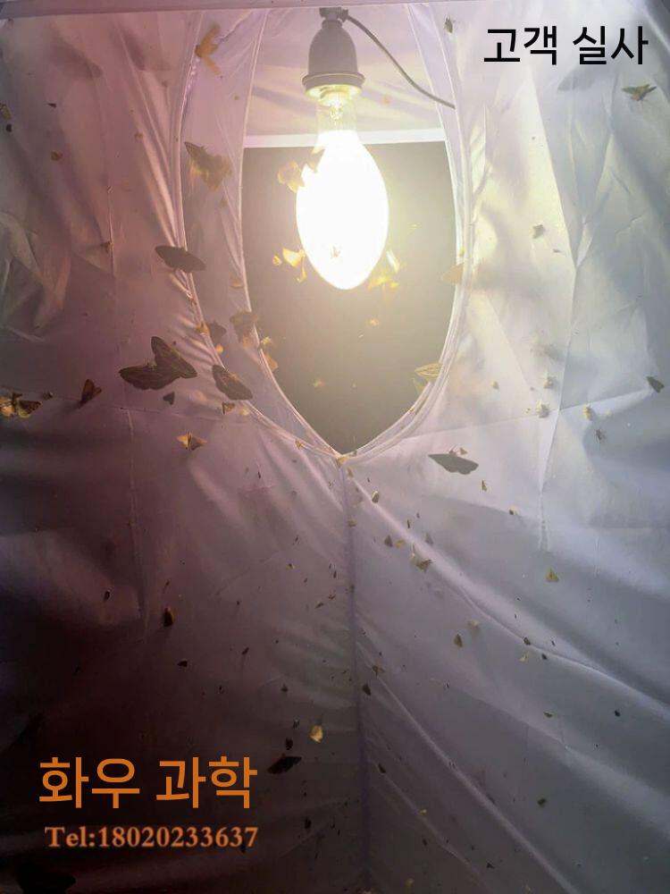 등화채집 포충망 곤충채집 세트 야간채집 LED 장비 텐트 이미지 6
