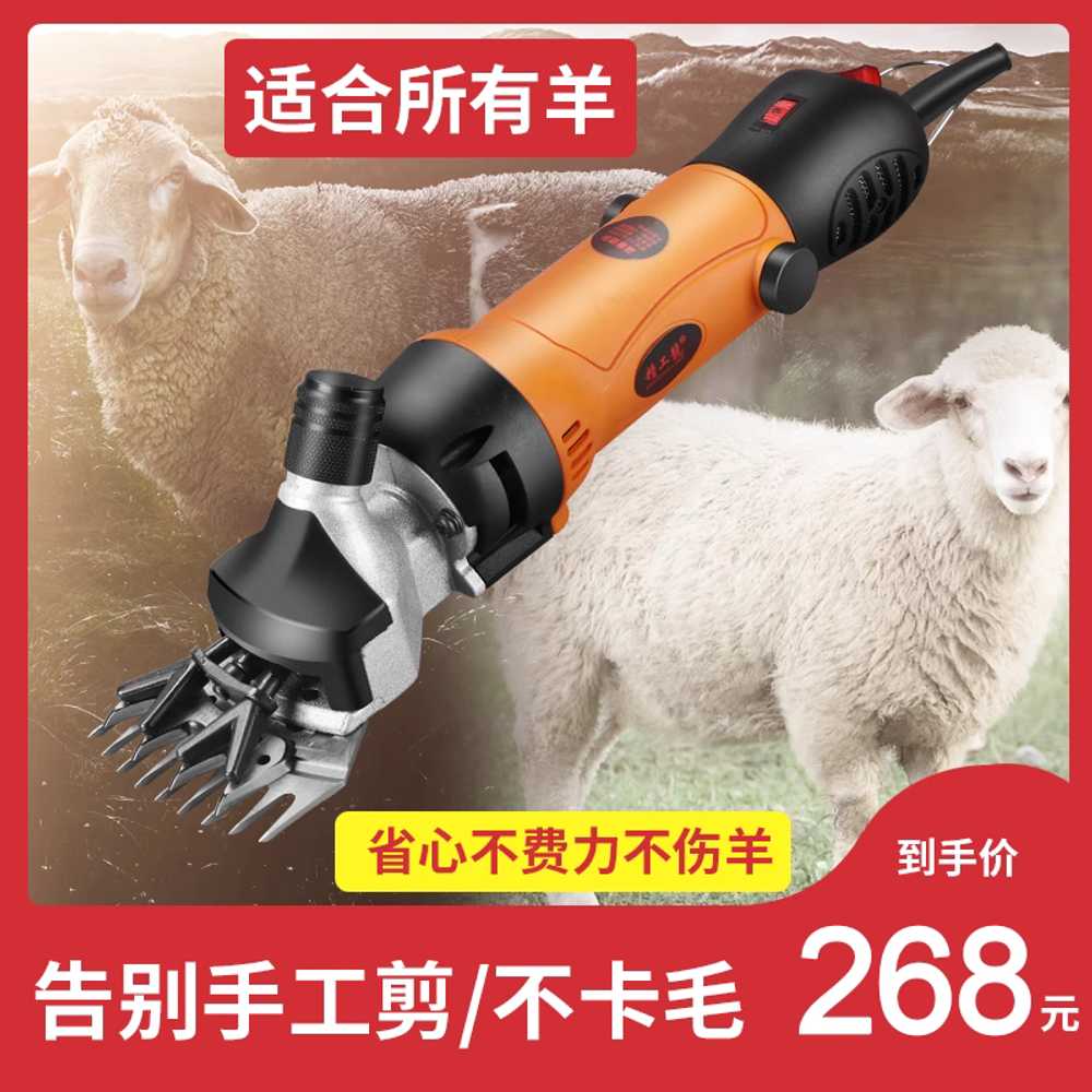 전동 대형견 바리깡 동물 양 용품 미용 이발 클리퍼 트리머 1000w - 상세 이미지 3
