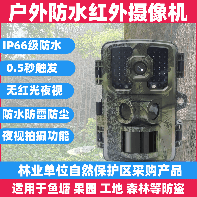 태양광CCTV 감시카메라 전기 무선 야간 농막 모니터링 - 상세 이미지 2