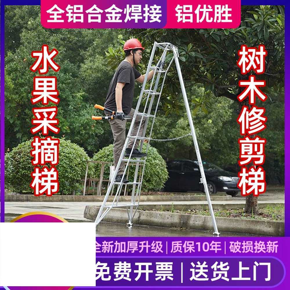 과수원 사다리 알루미늄 농사용 원예 조경 A타입 3단계 - 상세 이미지 3