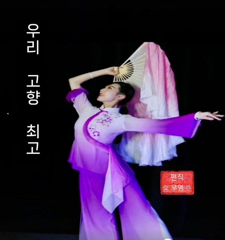 한국무용 부채 전통 실크 너슬부채 공연 연습 무용소품 30cm - 상세 이미지 4
