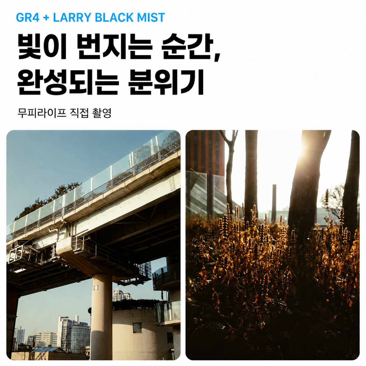 LARRY 리코 GR4 GR3 블랙미스트 필터 49mm 리코 HDF효과 1/4 1/8 이미지 4
