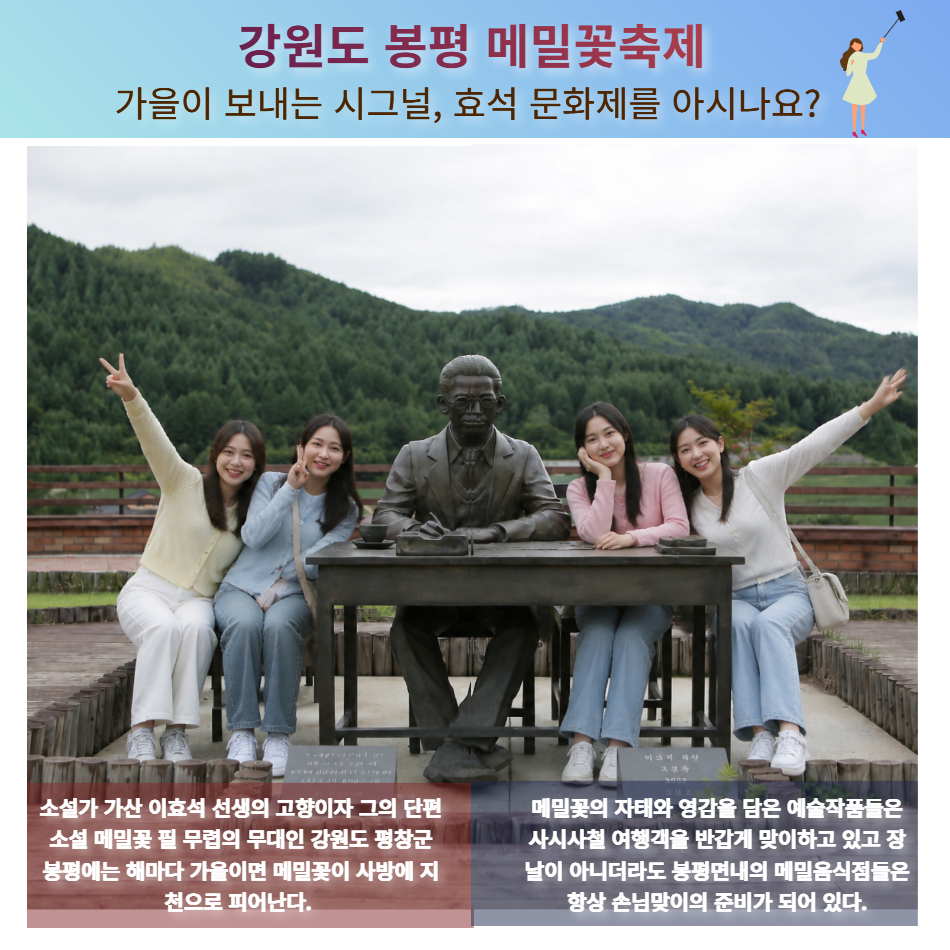 [울산출발버스여행] 가을 봉평메밀꽃밭과 대관령양때목장 삼척해상케이블카 - 상세 이미지 2