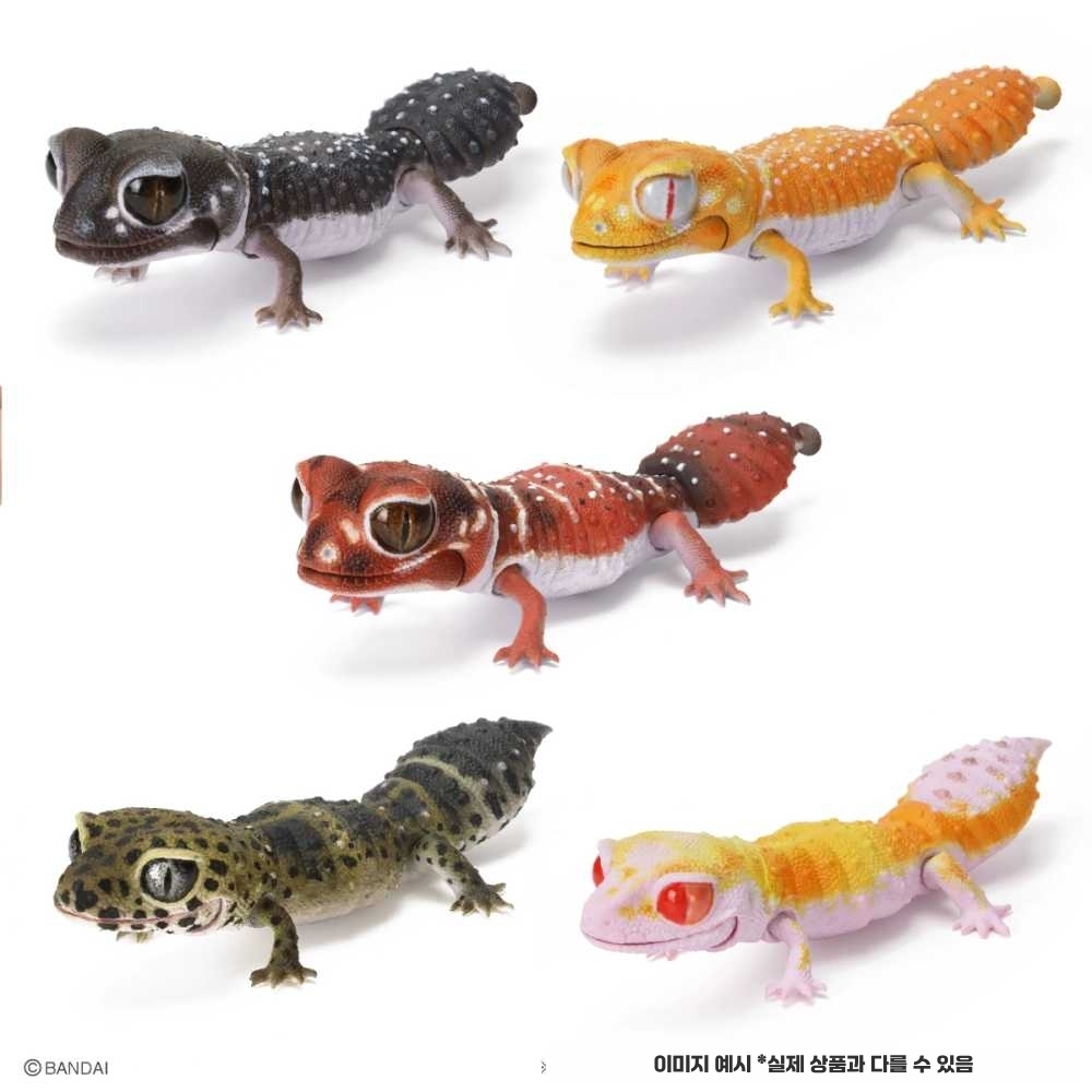 도마뱀피규어 아르마딜로 파충류 동물 드래곤 고퀄 A 타입(옵션 사진 참고) - 상품 이미지