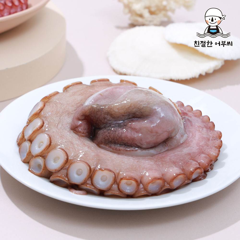 국내산 문어 자숙 손질 자연산 돌문어 문어다리 친절한어부씨 이미지 8