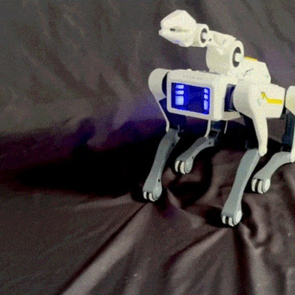 춤추는지능형 음성인식인터랙티브로봇강아지 리모컨조작코딩교육AI로봇 36cm - 상세 이미지 2