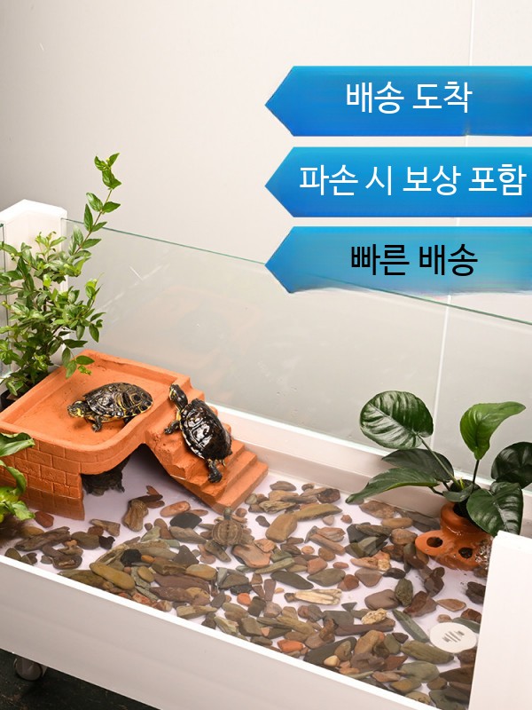 대형 반수생 수조 사육장 수족관 어항 거북이 일체형 100cm 선베이스 바퀴 포함 B - 상세 이미지 4