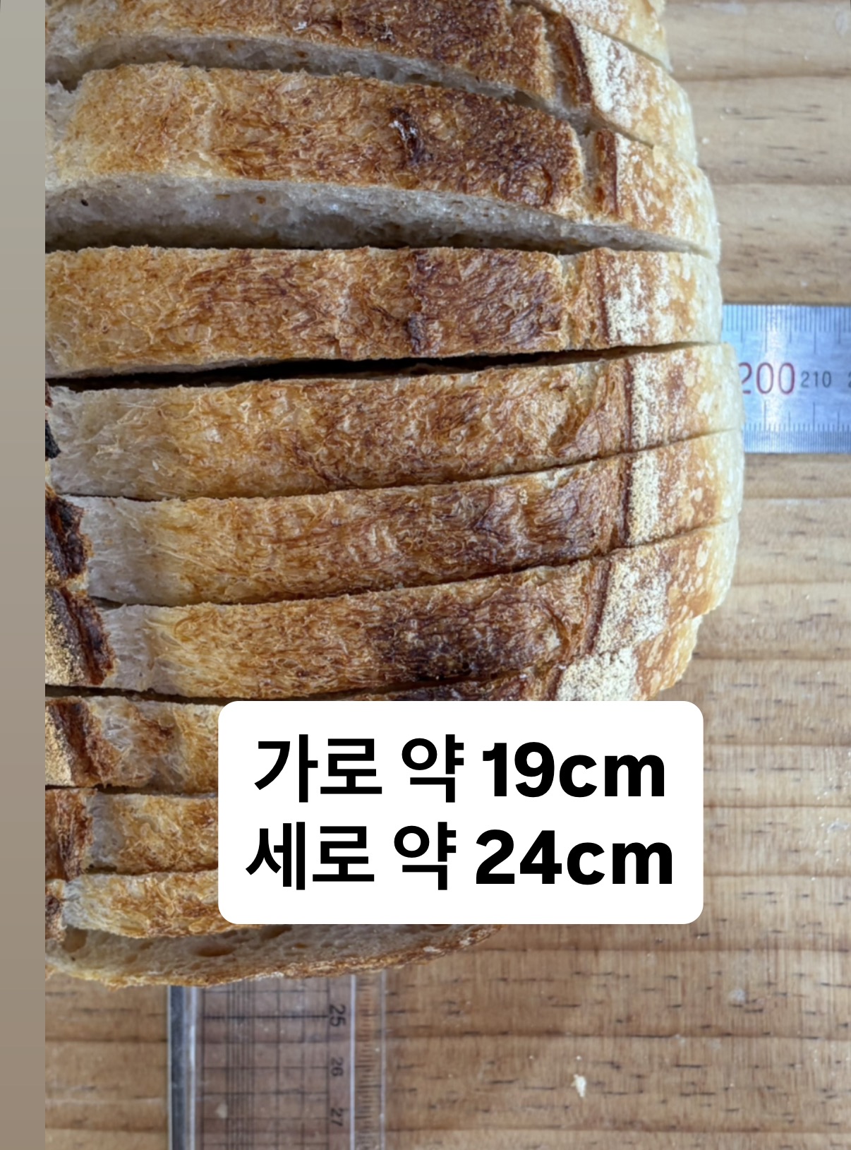 [칼리프] 플레인 사워도우 / 천연발효 식사빵 파니니 - 상세 이미지 5
