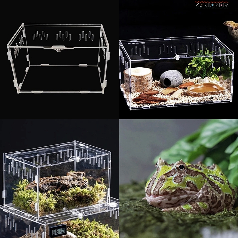 파충류 케이지 도마 뱀 아크릴 개구리 베이비 사육장 25x15x15 - 상품 이미지