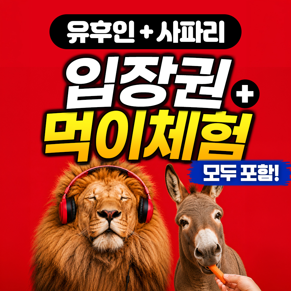 [입장료 포함] 벳푸 아프리칸사파리 후쿠오카 유후인버스투어 일일 현지 소소