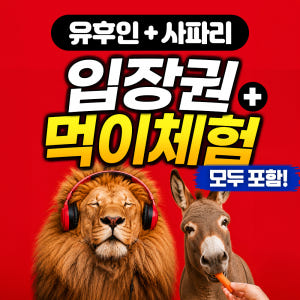 [입장료 포함] 벳푸 아프리칸 사파리 후쿠오카 유후인버스투어 일일 현지 