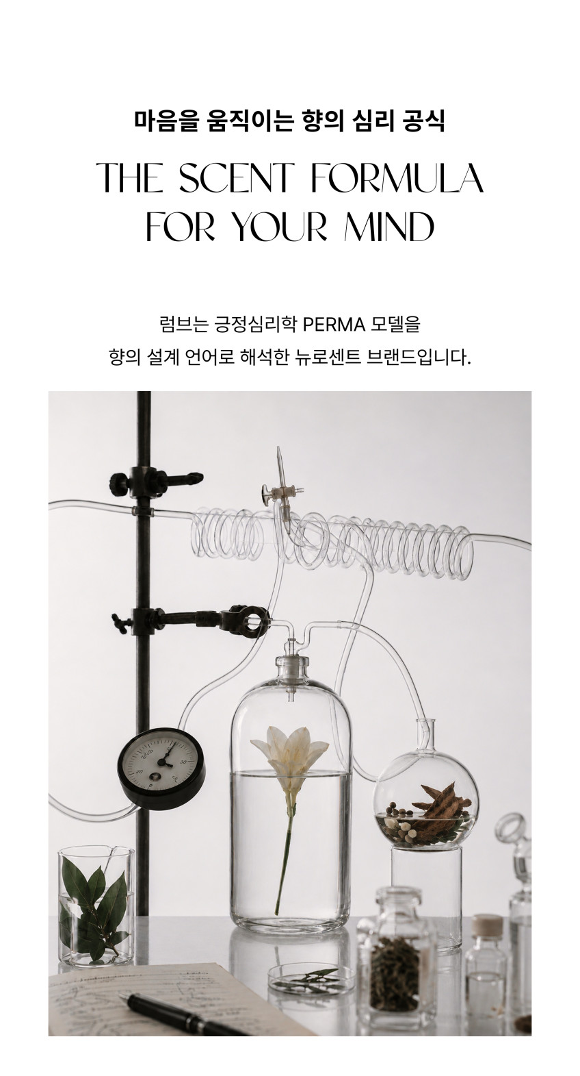 럼브 오드퍼퓸 그린워크 [프루티 아쿠아틱 우디] 100ml 판매처 상세 정보 이미지 1
