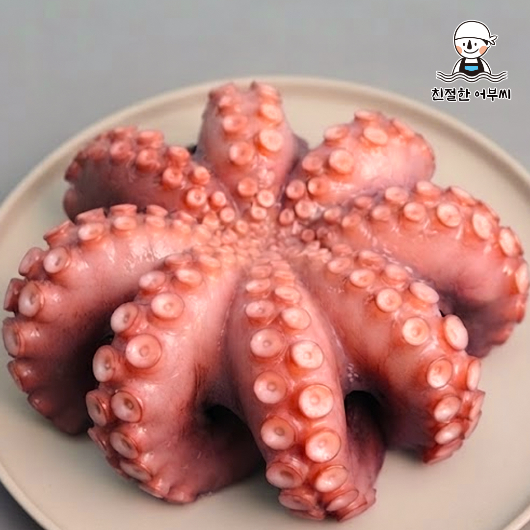 자숙 문어 돌문어 숙회 냉동 자연산 손질 1미 수산물이력제 친절한어부씨 900g, 1개 - 상품 이미지