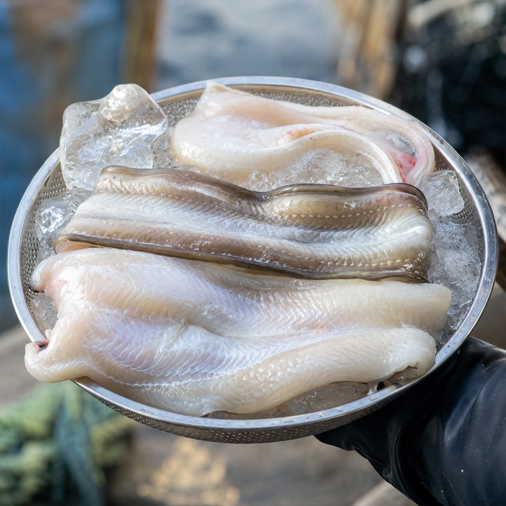 국내산 바다 장어 600g, 10개 - 상품 이미지