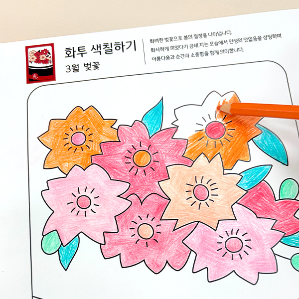 화투그리기 도안50장 24색목색연필 지구색연필24색 세트/시니어 노인 색칠놀이 - 상세 이미지 3