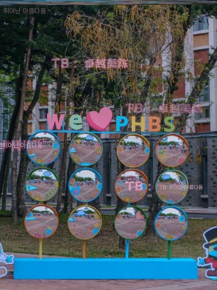 촬영용 반사경 거울 광각 미러 야외 사진 촬영 인테리어 옐로우 이미지 6
