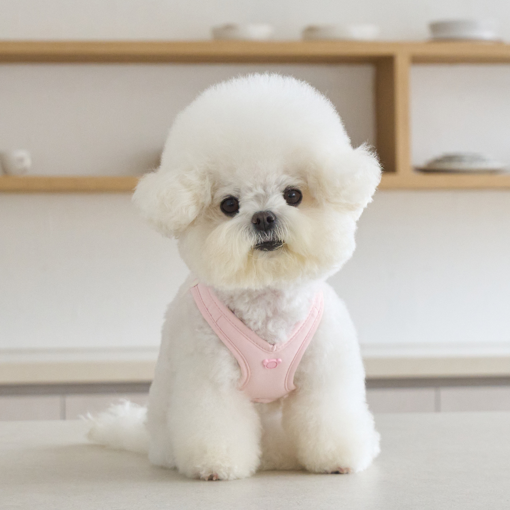 베니즈 강아지 하네스 소형견 가슴줄 산책줄 세트 에어리 아이보리 S - 상세 이미지 4