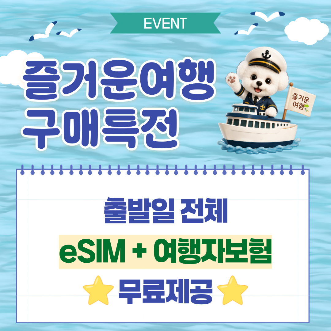 대마도 배편 왕복승선권 예약 씨플라워 대아고속 히타카츠 이즈하라 당일치기 1박2일 - 상세 이미지 4