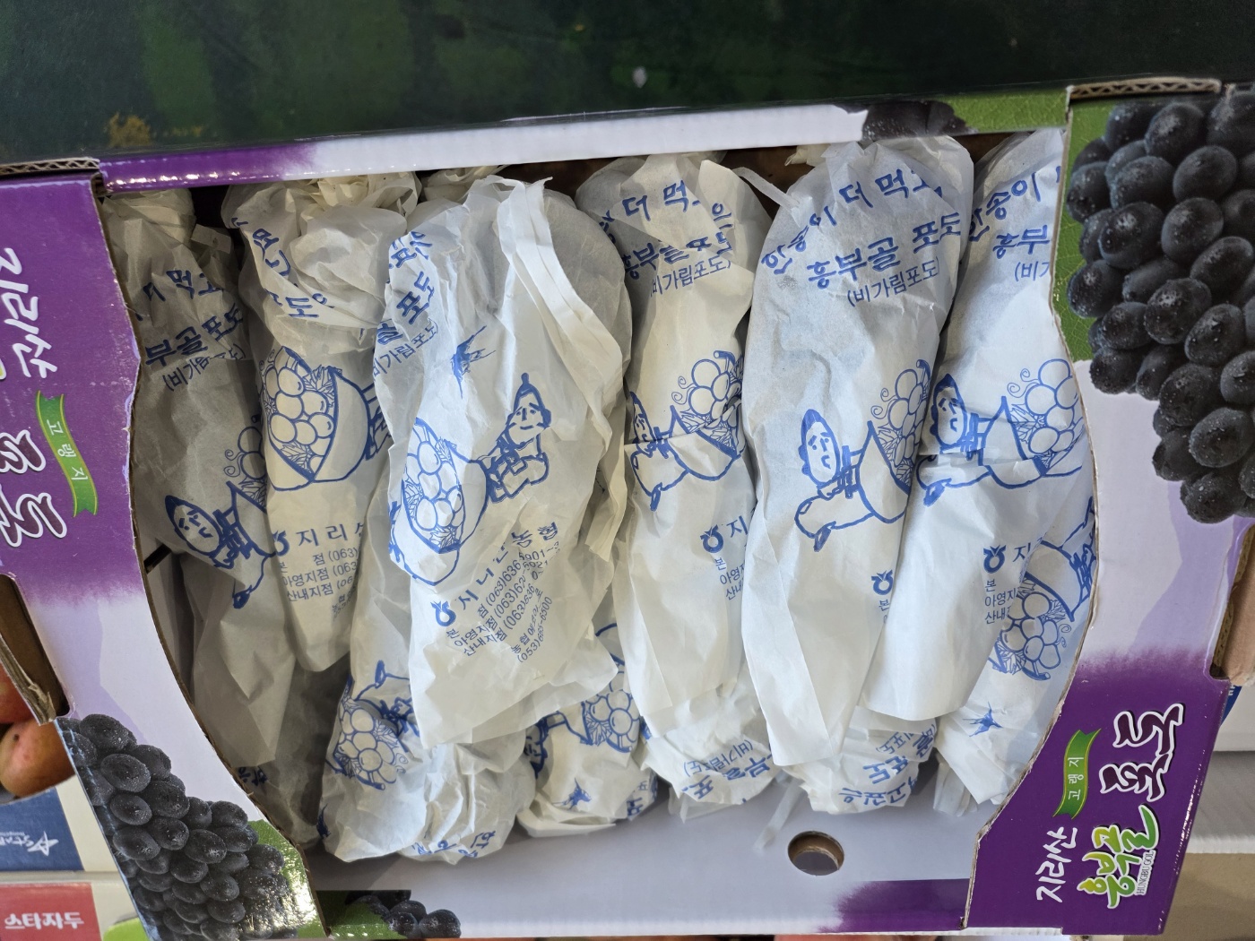 지리산고랭지 캠벨얼리 포도 3kg 고당도 프리미엄등급 전북남원 과일선물 이미지 6