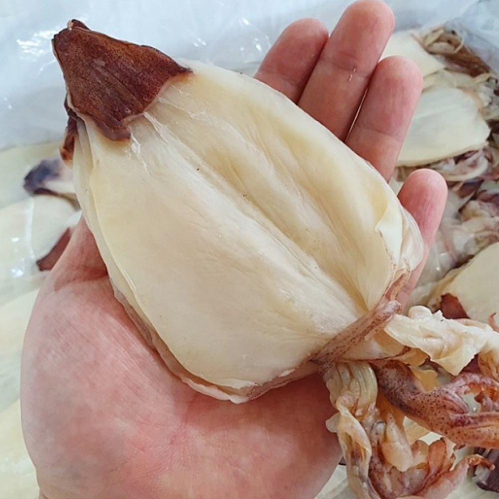 토해원 반건조 한치 5미 쫄깃한 건한치 안주용 해산물 개당 100g 내외 이미지 6