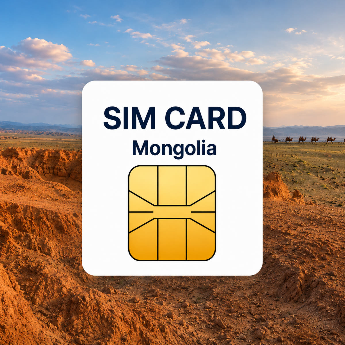 뜨거운청춘 몽골 유심 USIM 데이터 전용 무제한 4G LTE