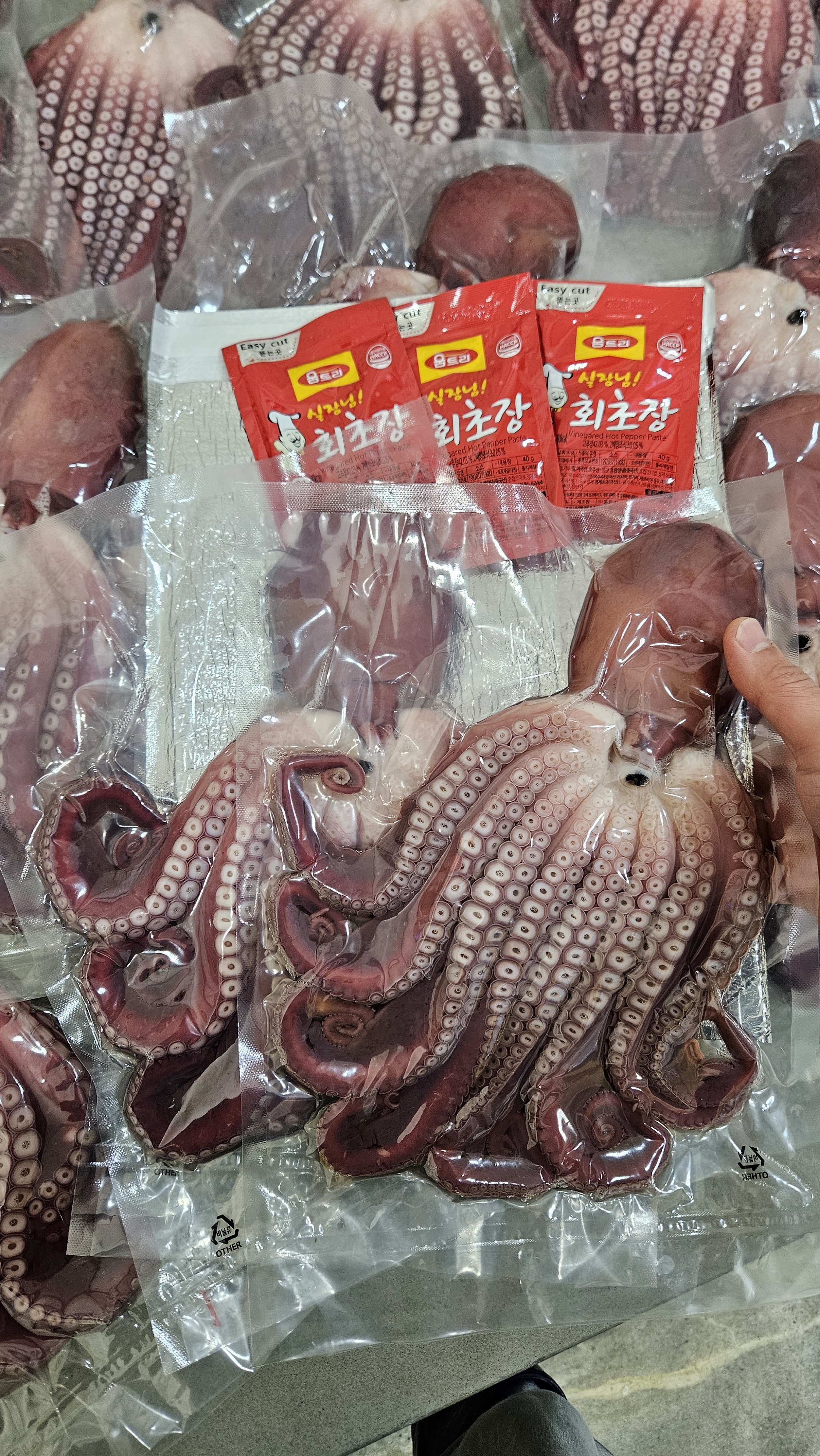 동해 삼척 생물 피문어 제수용 자숙 문어 대왕 대문어 1.5kg 선주직송 판매처 상세 정보 이미지 2