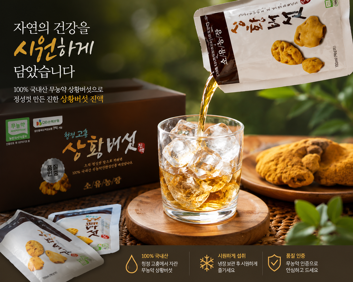 국산 무농약 상황버섯진액 GAP인증 버섯즙 부모님선물 효도선물 45포, 1개 - 상세 이미지 3