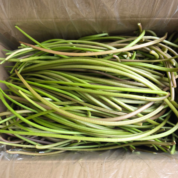 고구마줄기 윗집아들네 2kg 3kg 5kg - 상세 이미지 4