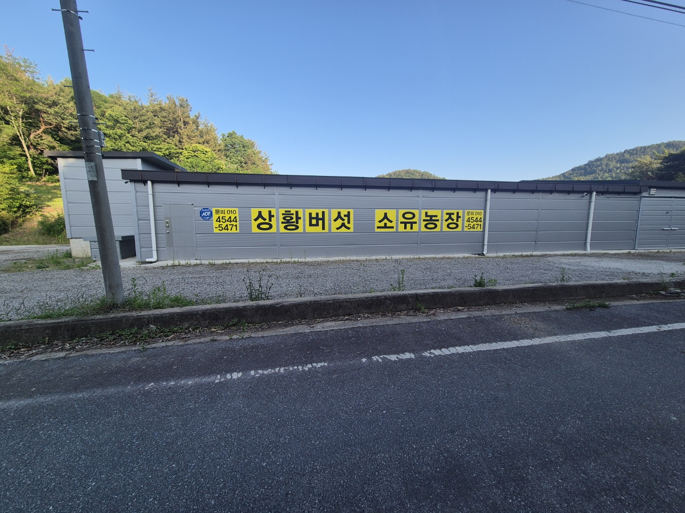 국내산 상황버섯진액 구매 전 놓치기 쉬운 핵심 포인트