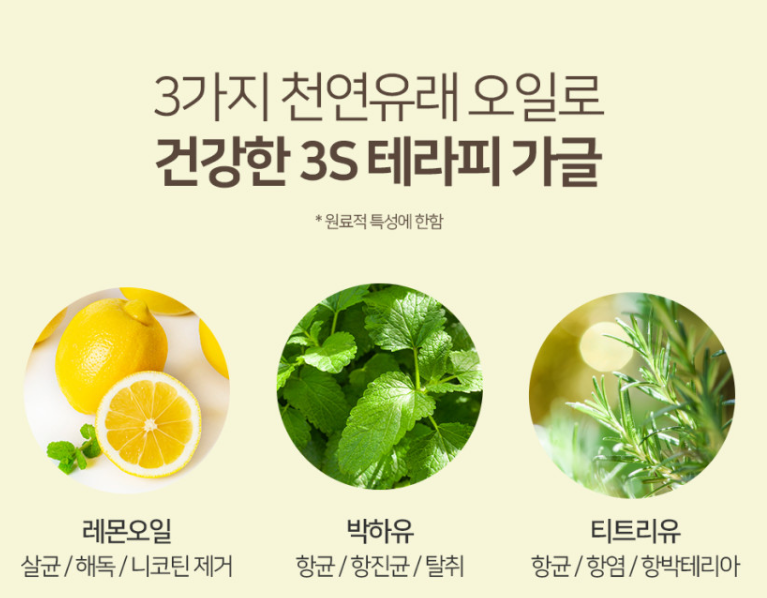 비염가글 구내염가글 프로폴린스 면역균 잇몸염증 치태막 편도결석 - 상세 이미지 5