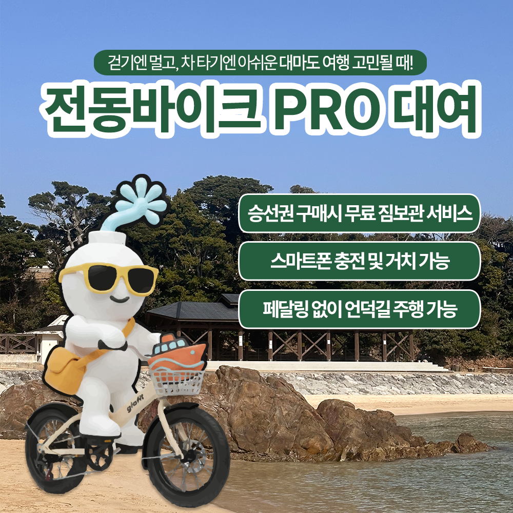 대마도 히타카츠 전동바이크 바이크 대여 당일치기 1박2일 자전거 - 상품 이미지