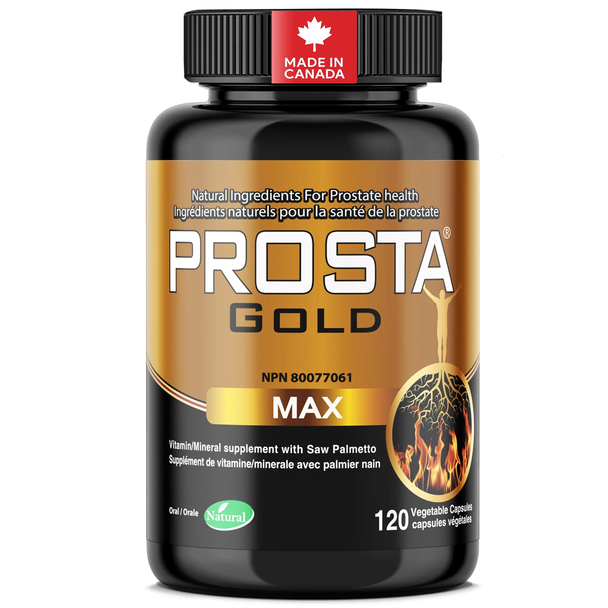 캐나다 프로스타 골드 MAX 소팔메토 쏘팔메토 복합영양제 500mg 120캡슐, 1개 - 상세 이미지 4