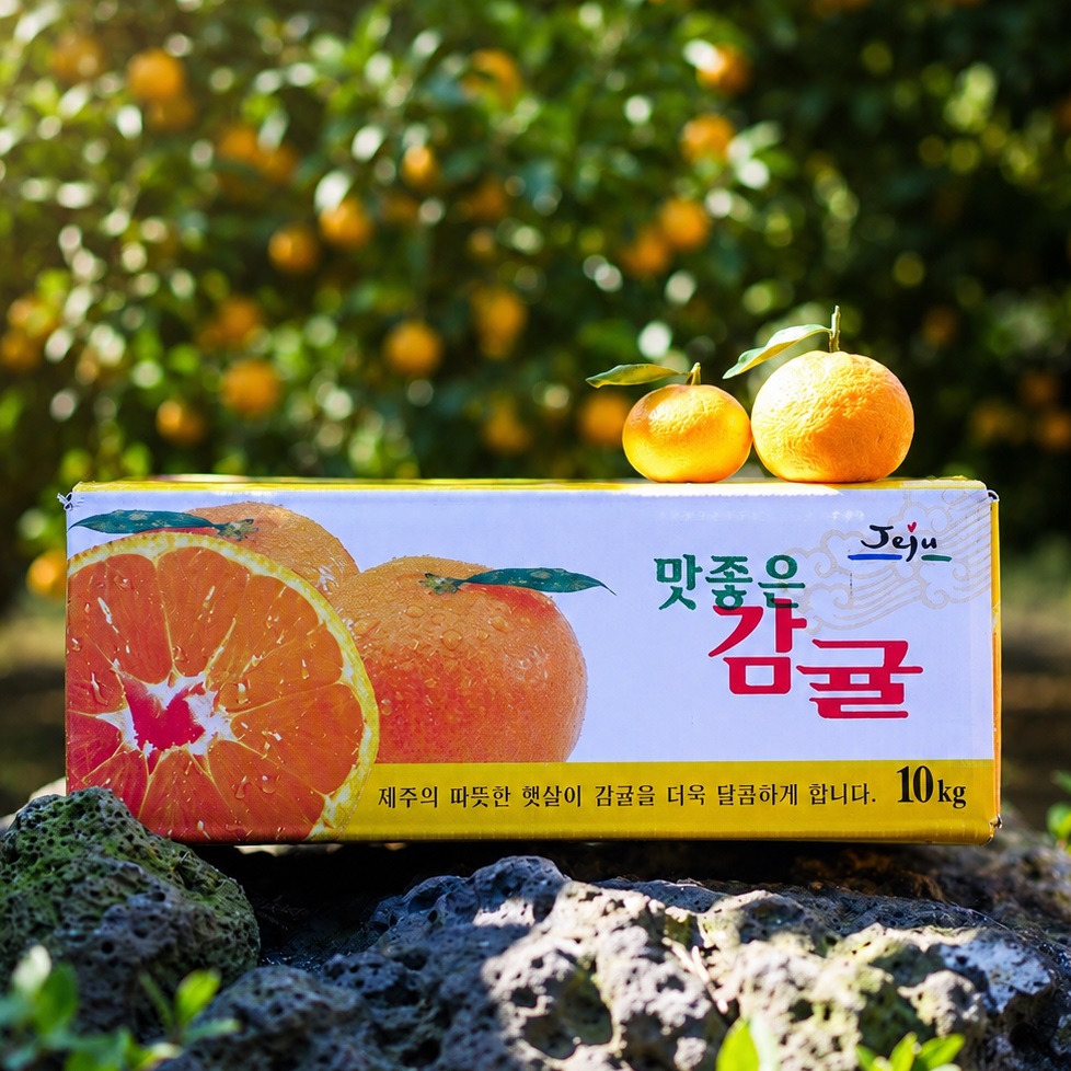 제주 노지 감귤 26년 수확 로얄과, 3kg, 1개 - 상세 이미지 4