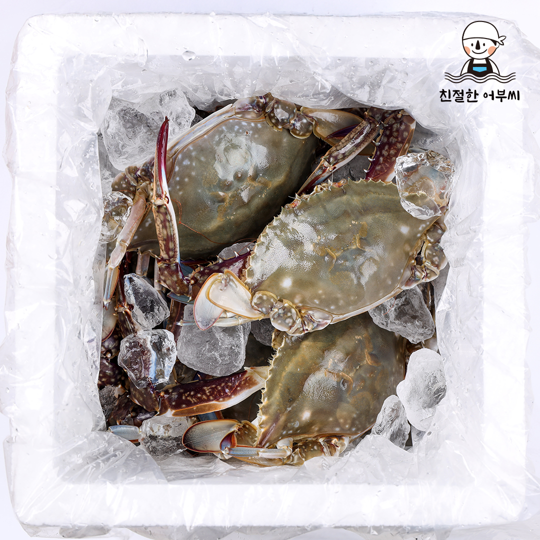 꽃게 제철 활 숫꽃게 톱밥 가을 생물 급냉 냉동 1kg 2kg 3kg 친절한어부씨 상품 이미지