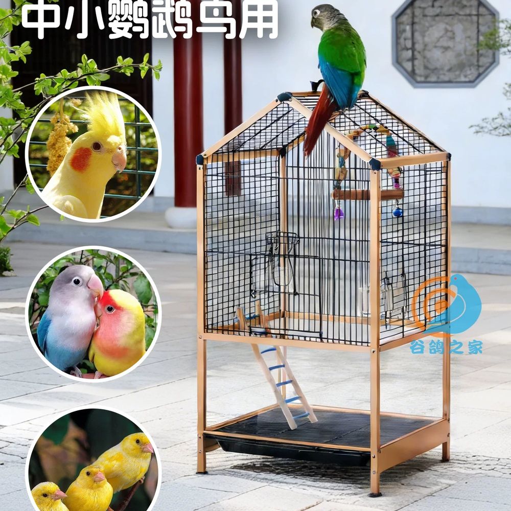 원목 앵무새대형새장 놀이터 앵무새케이지 기본형 - 상세 이미지 4