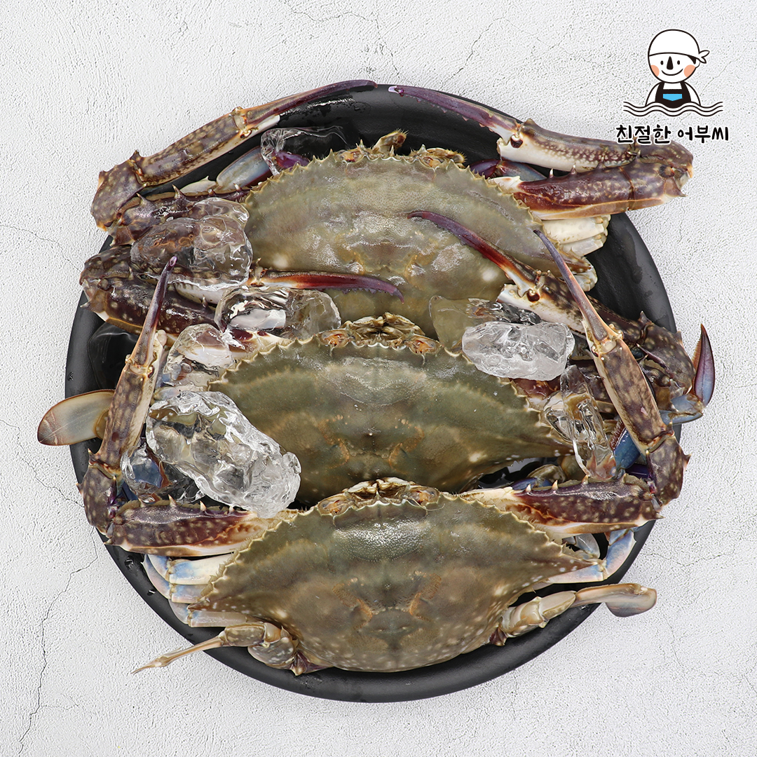 꽃게 제철 활 숫꽃게 톱밥 가을 생물 급냉 냉동 1kg 2kg 3kg 친절한어부씨 상품 이미지