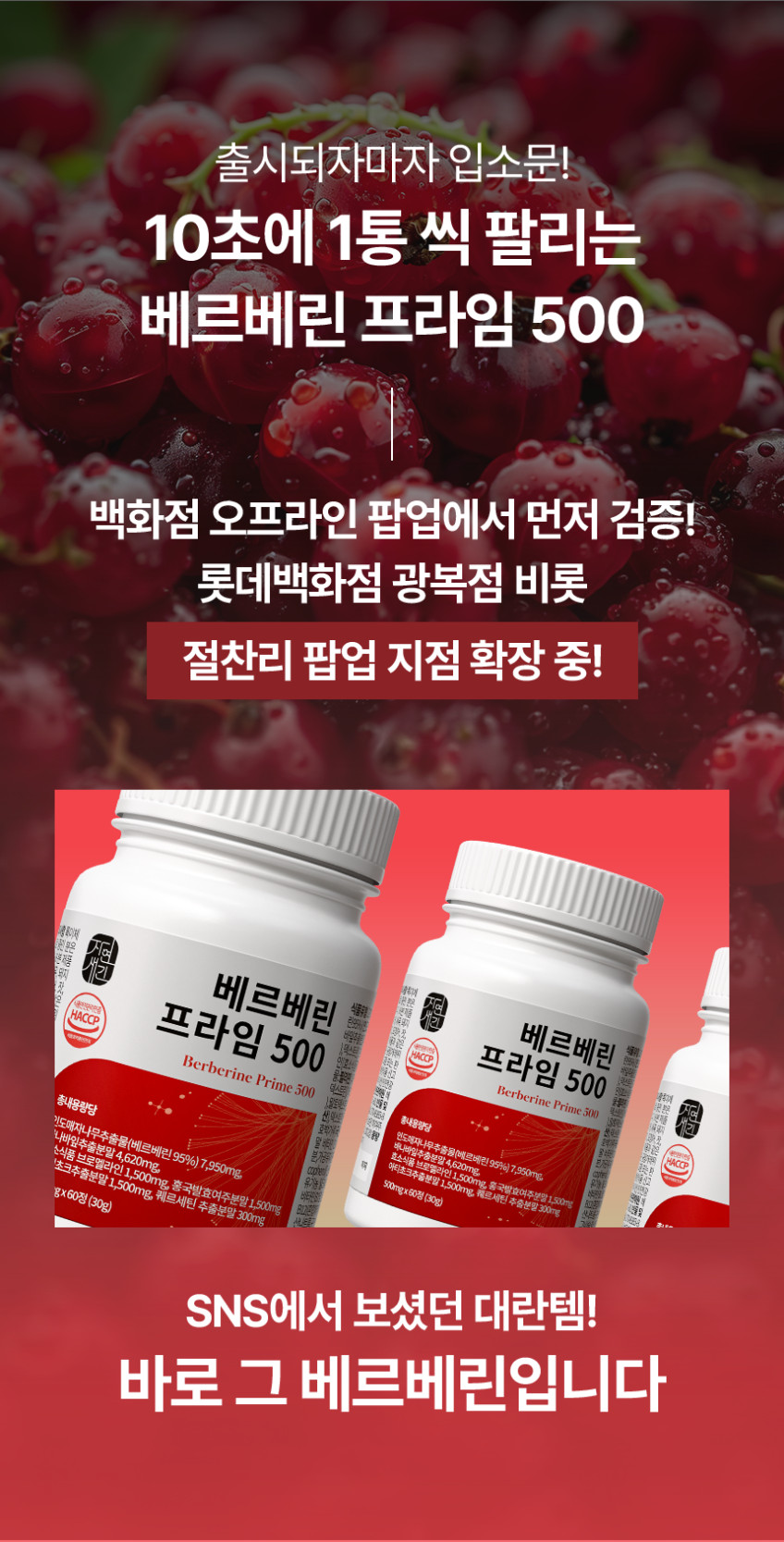 베르베린 500mg 매자나무열매추출물 효능 복용법 영양제 60정, 2개 판매처 상세 정보 이미지 3