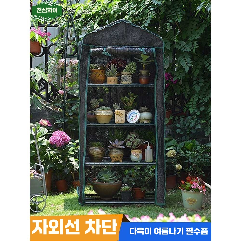 소형 온실 비닐 하우스 미니 화분 다육이 진열대 텃밭 2단-투명 - 상세 이미지 4