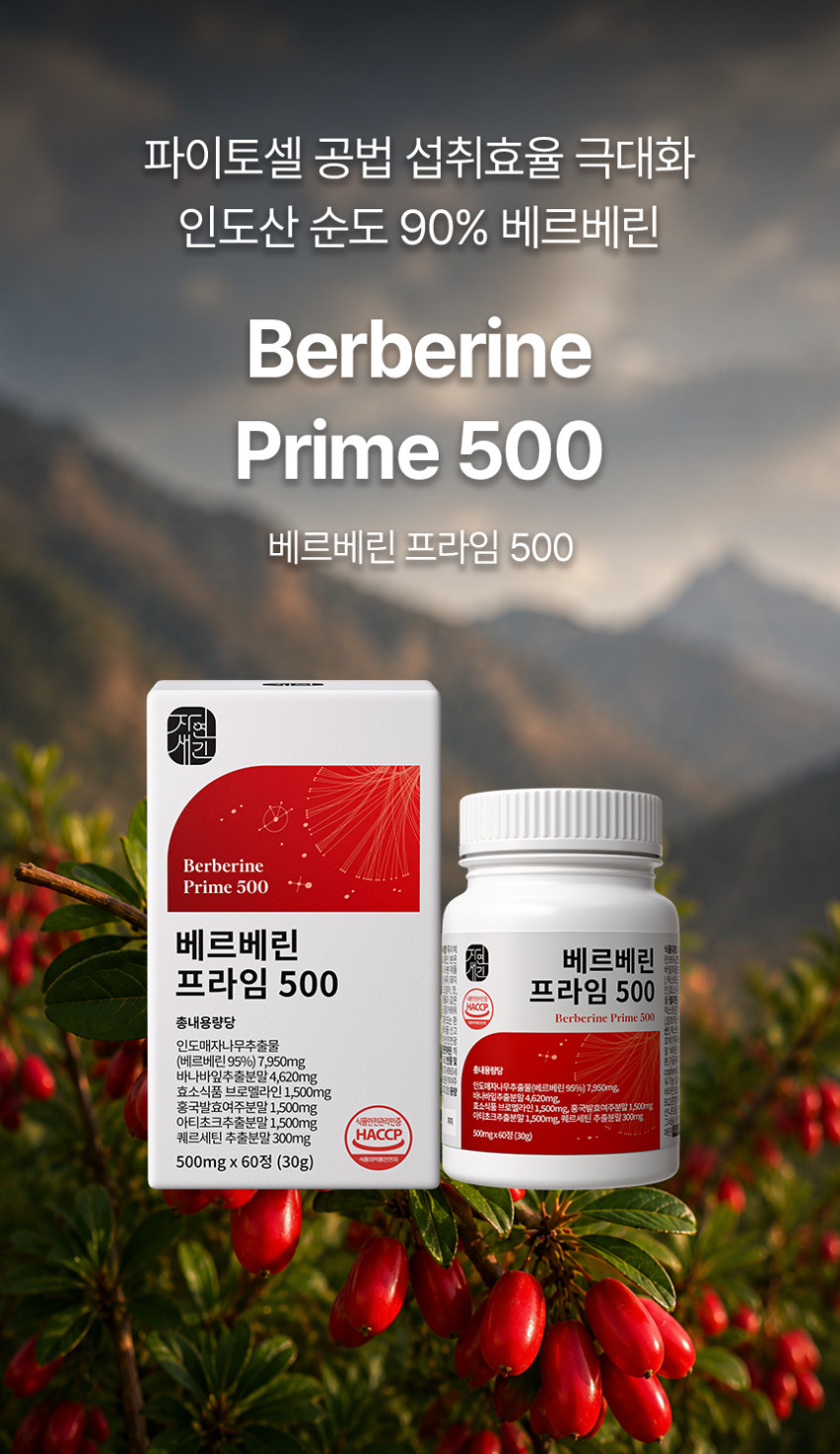 베르베린 500mg 매자나무열매추출물 효능 복용법 영양제 60정, 2개 판매처 상세 정보 이미지 2