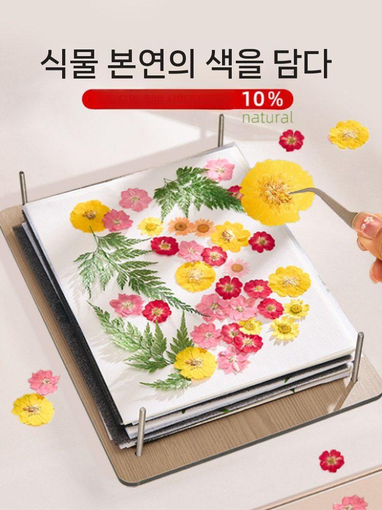 압화프레스 꽃누르기 프레스기 공예 표본 만들기 DIY 세트 19x26cm - 상세 이미지 5