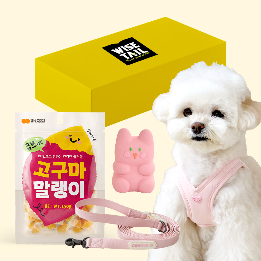 [산책 필수템선물세트] 강아지 하네스산책 세트 (에어리 하네스 세트 + 라텍스 토이 + 고구마 말랭이 150g) - 상품 이미지