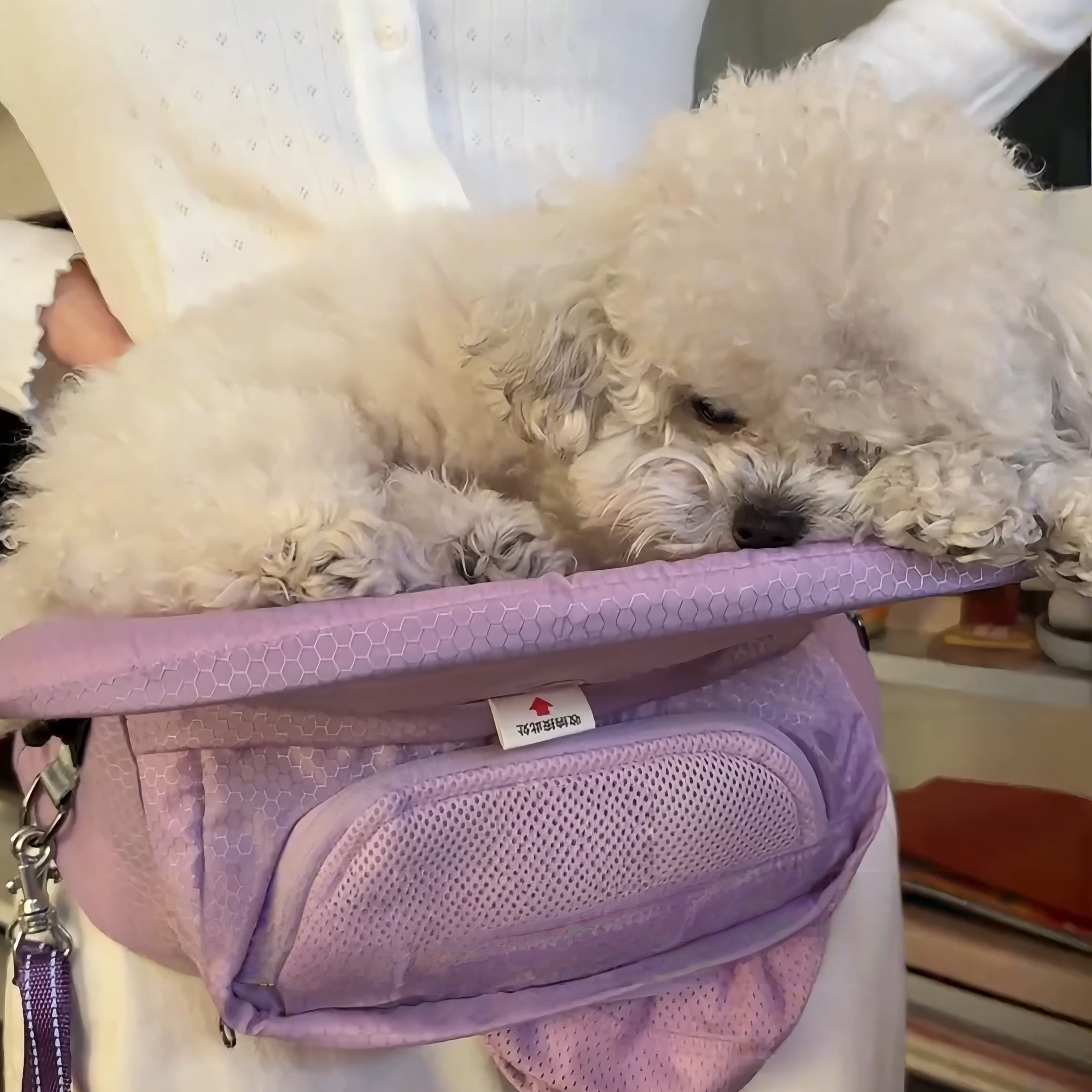 강아지힙시트 반려동물 힙시트 소형견 산책 이동가방 그레이 - 상세 이미지 3