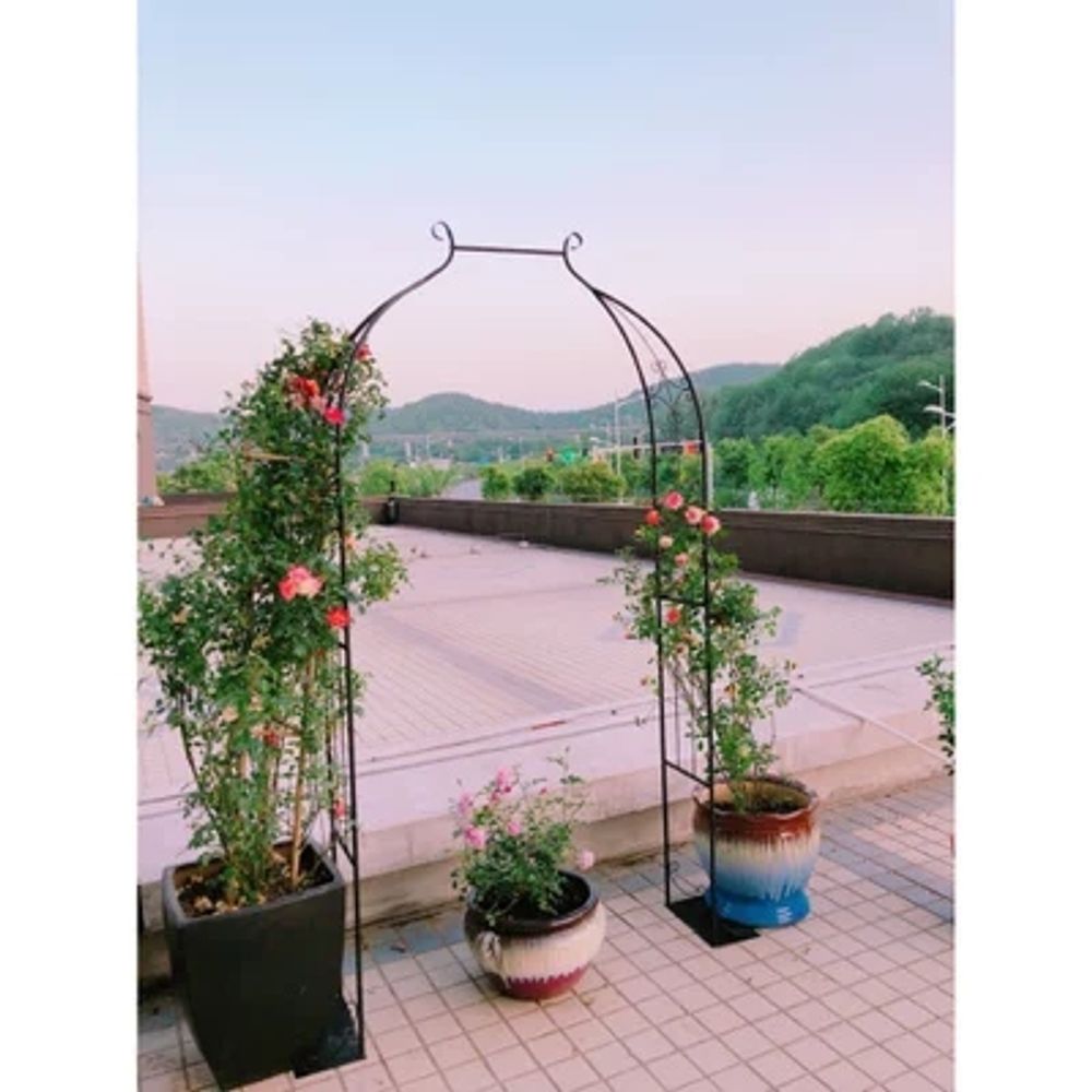 장미 넝쿨지지대 철제스탠드 블랙 프레임 아치형 폭80cm 울타리 - 상세 이미지 2