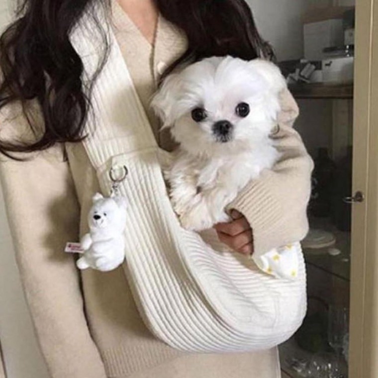 소형견 외출슬링백 넓은 숄더스트랩케리어 안전고리부착 수납가방 - 상품 이미지