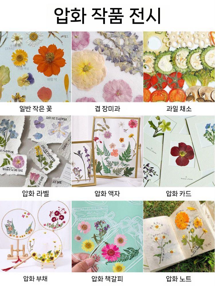 압화프레스 꽃누르기 프레스기 공예 표본 만들기 DIY 세트 19x26cm 이미지 7