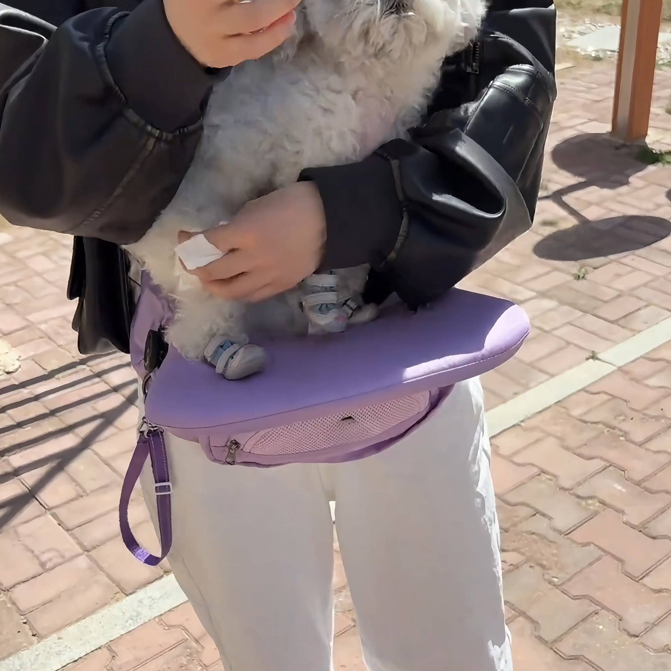 강아지힙시트 반려동물 힙시트 소형견 산책 이동가방 그레이 - 상세 이미지 2