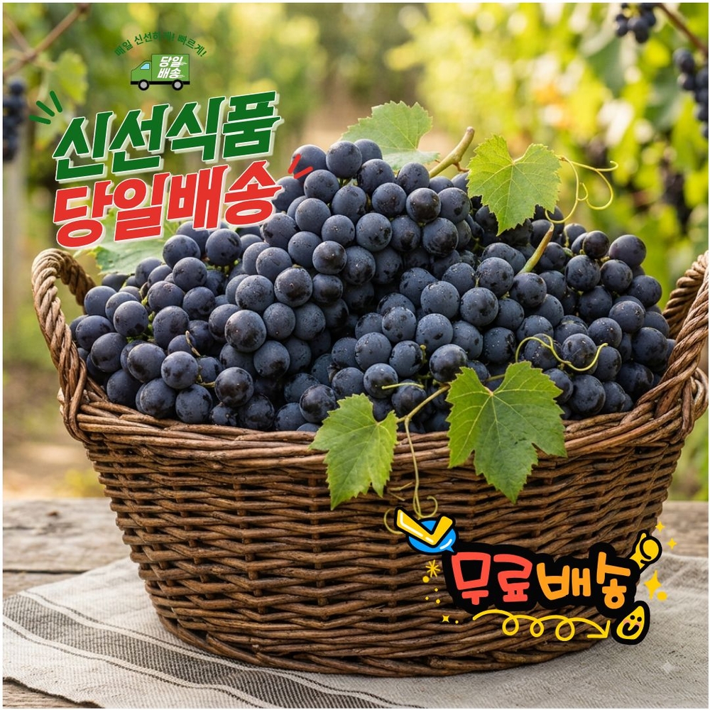 캠벨포도 500g 고당도 샤인머스캣 선물용 - 상품 이미지
