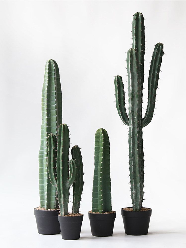인조 선인장 조화 가짜선인장 인테리어 가드닝 조경 장식 단일기둥 60cm - 상세 이미지 4