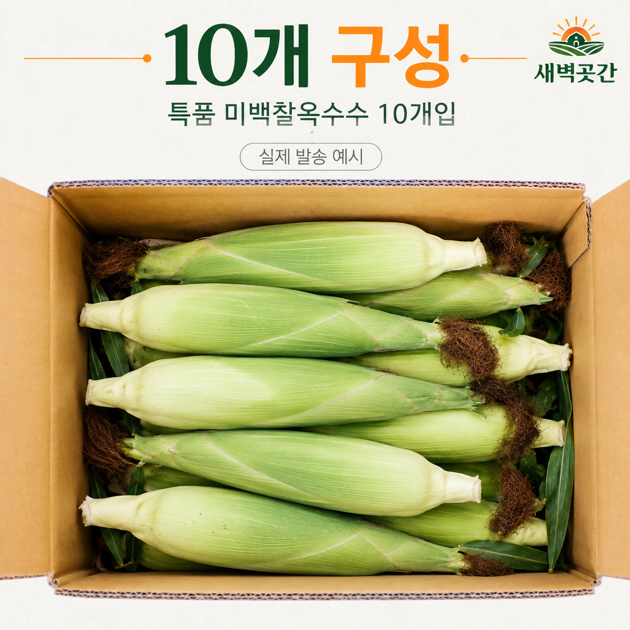 26년 쫀득하고 고소한 강원도 찰옥수수 생 미백 햇 특품옥수수 새벽곳간 이미지 7