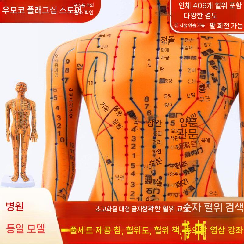 한의학 침술 모형 실습 혈자리 인체 훈련용 교구 35cm 남성 - 상세 이미지 3